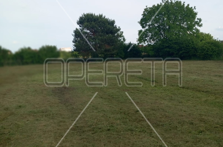 opereta_carousel_photo_8