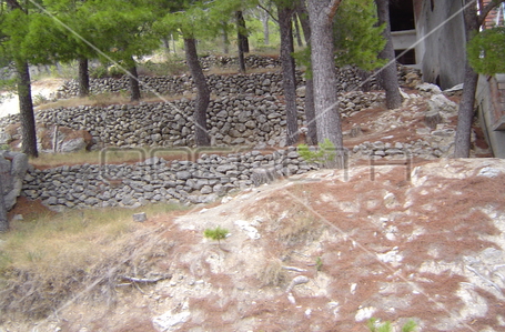 opereta_carousel_photo_2