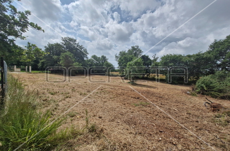 opereta_carousel_photo_2