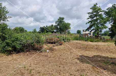 opereta_carousel_photo_4