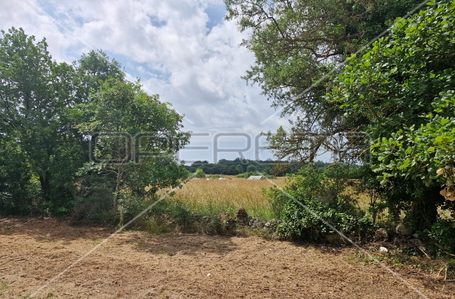 opereta_carousel_photo_5