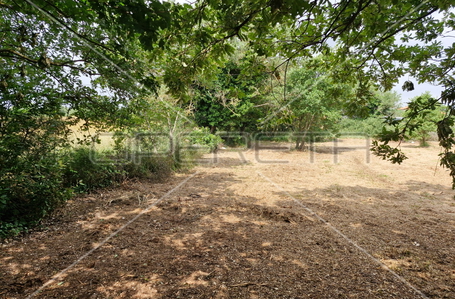 opereta_carousel_photo_6