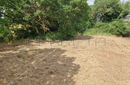 opereta_carousel_photo_7