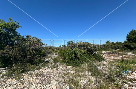 opereta_carousel_photo_4