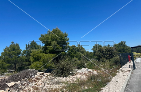 opereta_carousel_photo_5