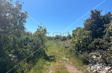 opereta_carousel_photo_6