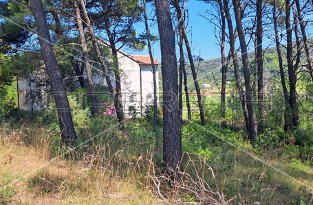 opereta_carousel_photo_5