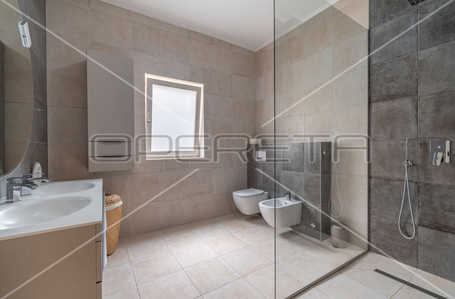 opereta_carousel_photo_7