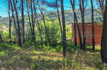 opereta_carousel_photo_4