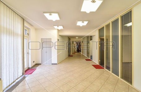 opereta_carousel_photo_9