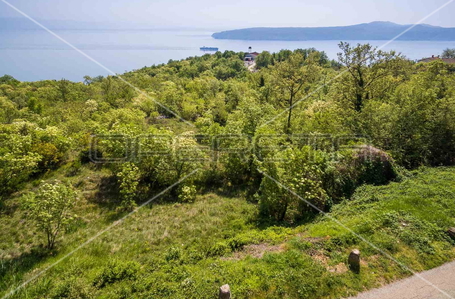 opereta_carousel_photo_2