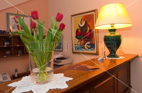 opereta_carousel_photo_5