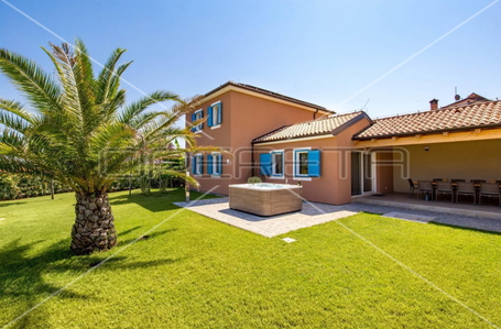 opereta_carousel_photo_7