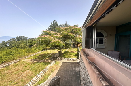 opereta_carousel_photo_9