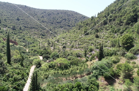 opereta_carousel_photo_5