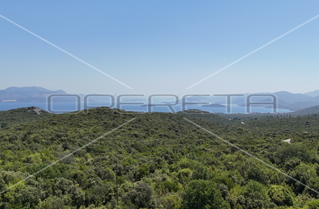 opereta_carousel_photo_3