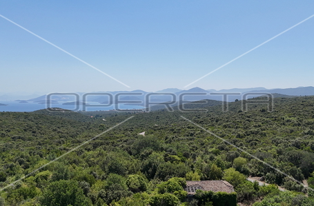 opereta_carousel_photo_4