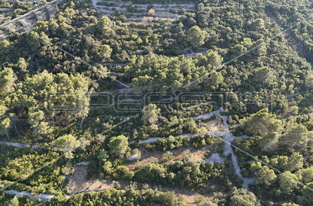 opereta_carousel_photo_2