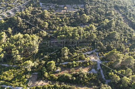 opereta_carousel_photo_3