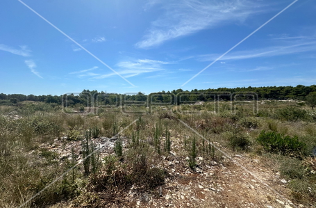 opereta_carousel_photo_4