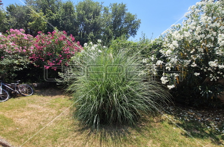 opereta_carousel_photo_6