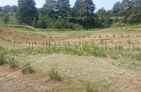 opereta_carousel_photo_4