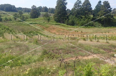 opereta_carousel_photo_6