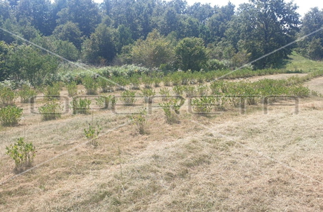 opereta_carousel_photo_7