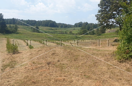 opereta_carousel_photo_8