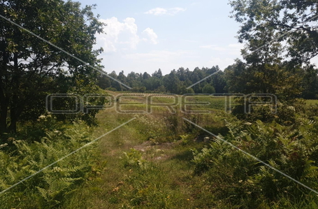 opereta_carousel_photo_9