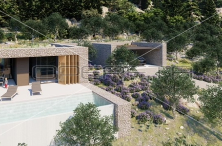 opereta_carousel_photo_6