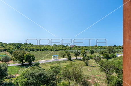 opereta_carousel_photo_4