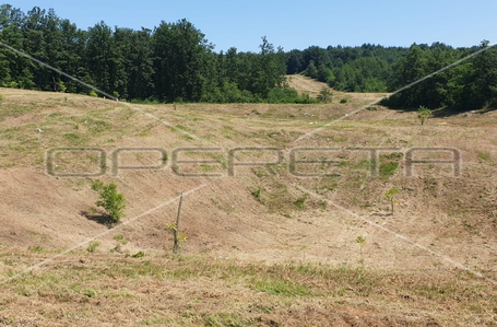 opereta_carousel_photo_3