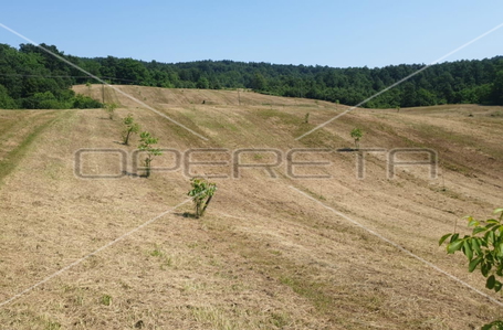 opereta_carousel_photo_5