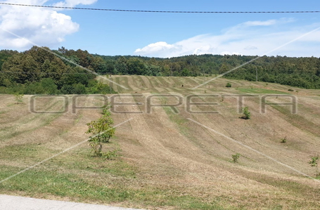 opereta_carousel_photo_6