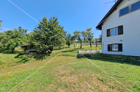 opereta_carousel_photo_8