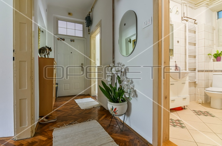 opereta_carousel_photo_5