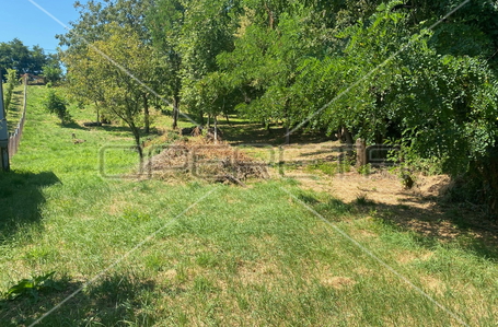 opereta_carousel_photo_3