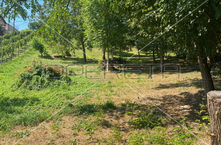 opereta_carousel_photo_5