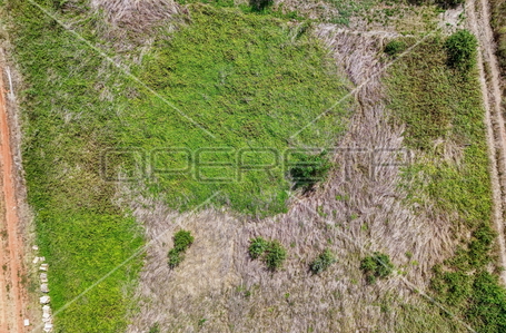 opereta_carousel_photo_2