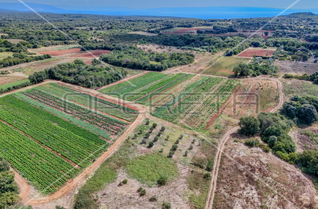 opereta_carousel_photo_4