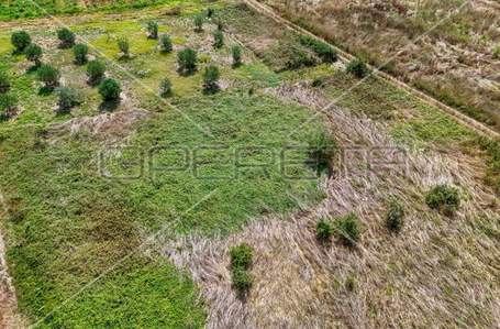 opereta_carousel_photo_3