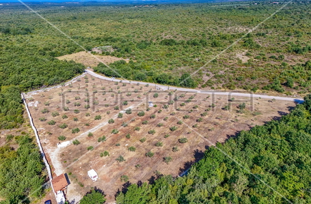 opereta_carousel_photo_2