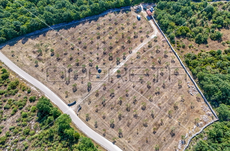 opereta_carousel_photo_3