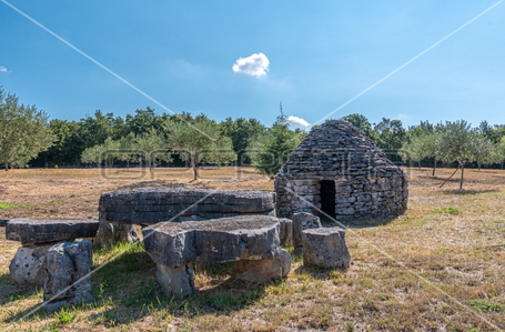 opereta_carousel_photo_5