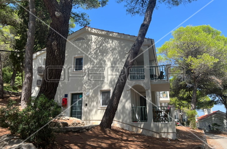 opereta_carousel_photo_2