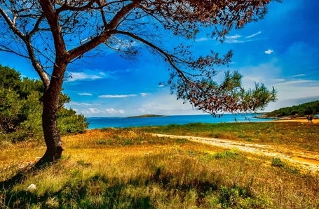 opereta_carousel_photo_8