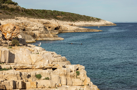 opereta_carousel_photo_8