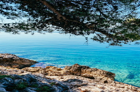 opereta_carousel_photo_7