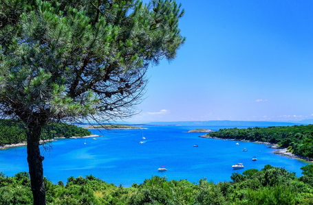 opereta_carousel_photo_6